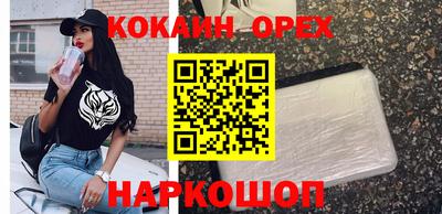гашик Малоярославец
