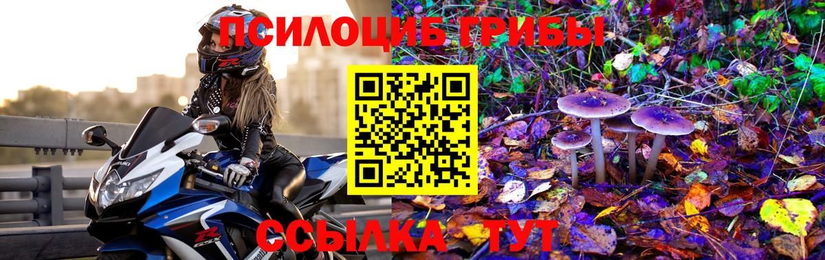 Псилоцибиновые грибы мухоморы  Вход с VPN  Калуга  Псилоцибиновые грибы Psilocybine cubensis 