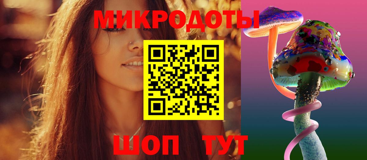 Галлюциногенные грибы Psilocybine cubensis  Калуга 